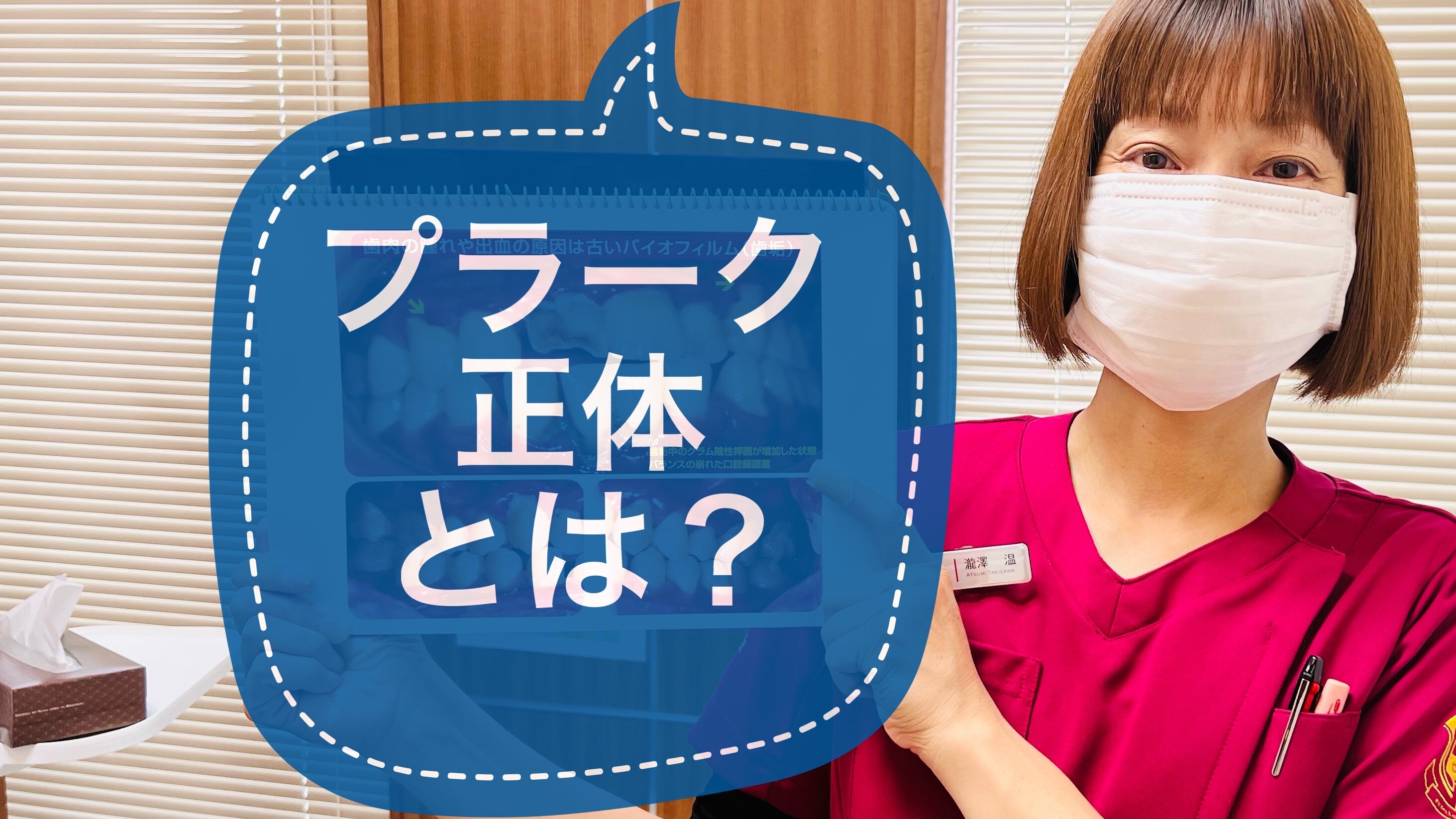 プラークの正体