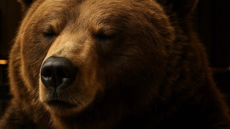 クマのアドバイス③